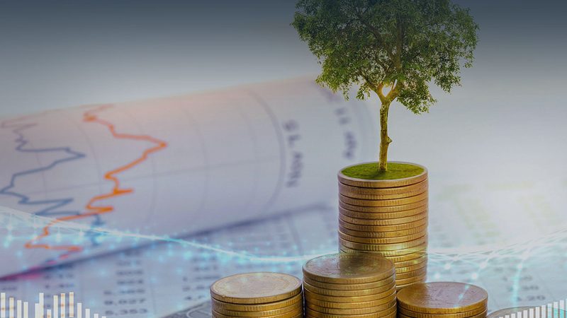 战略咨询实施案例分析：解码企业转型升级之路